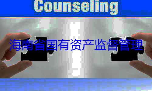 海南省国有委副书记王资产监督管理委员会党有福接受审查调查